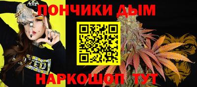 крисы Ирбит