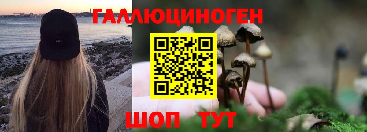 Валуйки  Галлюциногенные грибы MAGIC MUSHROOMS  Вход с VPN 